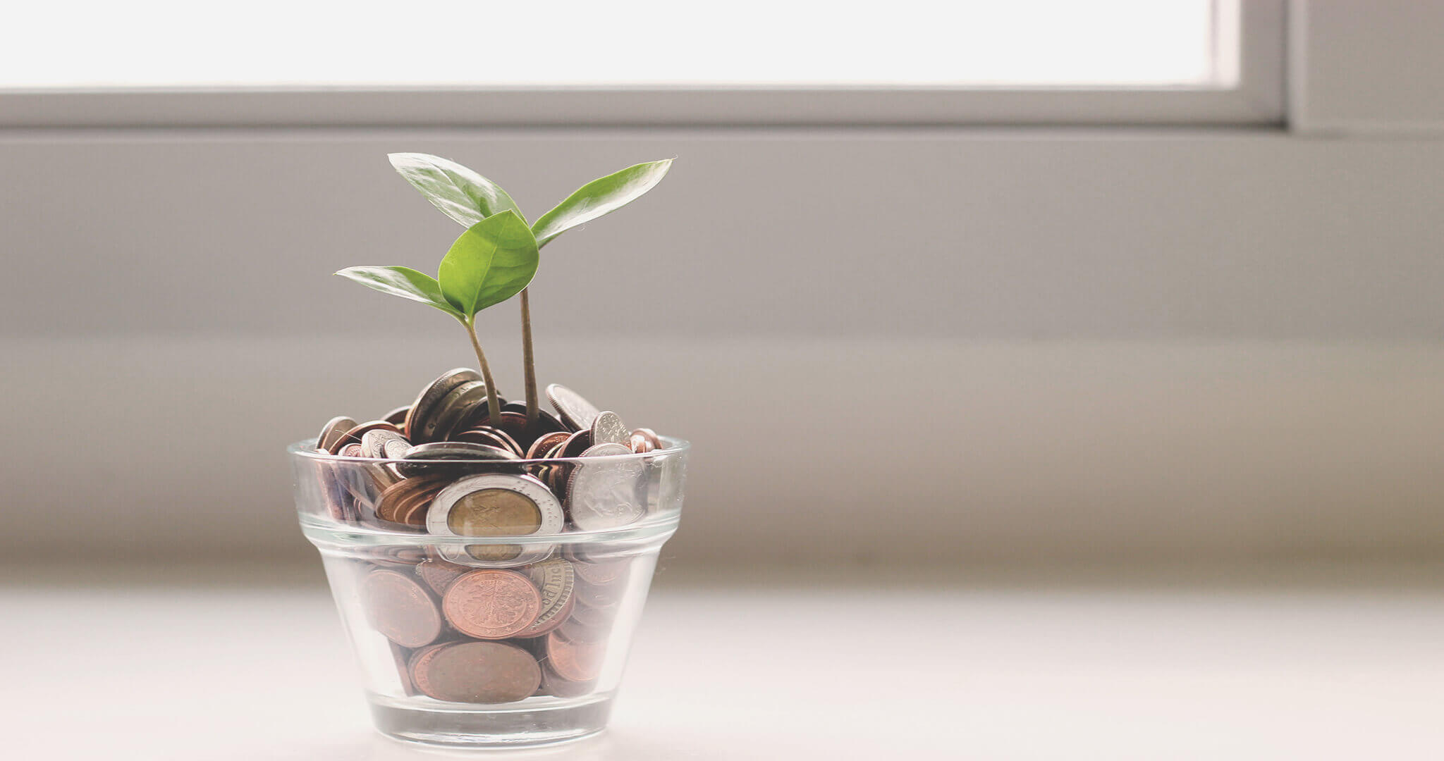 Price Estimate for Web and Mobile Applications
